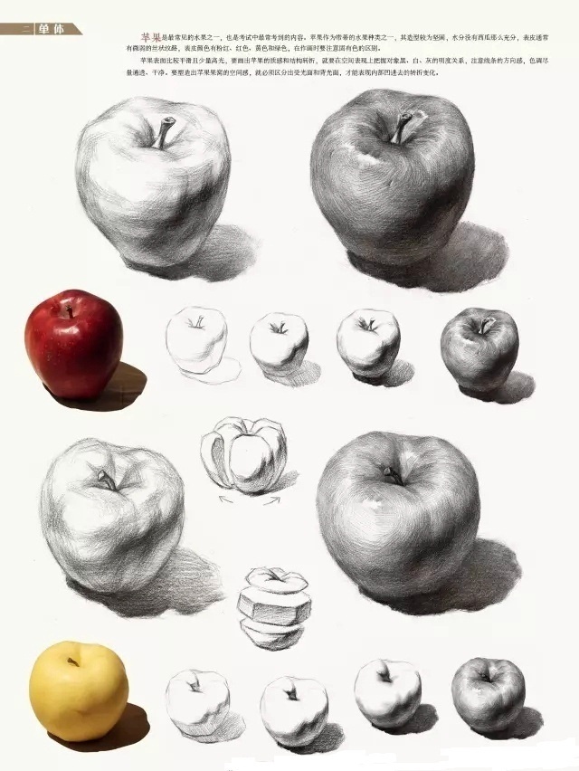 苹果素描静物单体临摹步骤详解