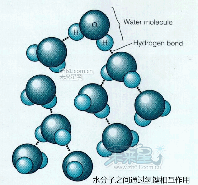 水分子之间通过氢键相互作用